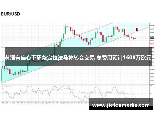 黄潜有信心下周敲定拉法马林转会交易 总费用预计1600万欧元 黄潜有信心下周敲定拉法马林转会交易 总费用预计1600万欧元