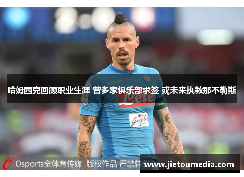 哈姆西克回顾职业生涯 曾多家俱乐部求签 或未来执教那不勒斯 哈姆西克回顾职业生涯 曾多家俱乐部求签 或未来执教那不勒斯